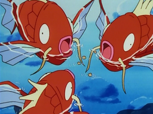 EP048 - Magicarpe.png