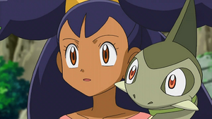 NB122 - Coupenotte d'Iris.png