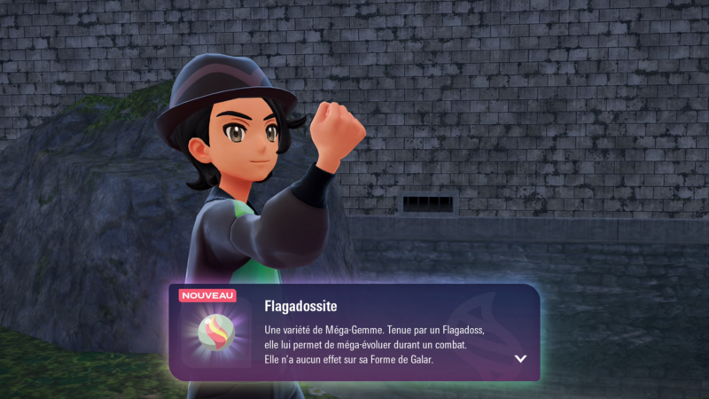 Fichier:Parc Montprélasse Flagadossite LPZA.png