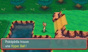 Parc Safari Hyper Ball ROSA.png