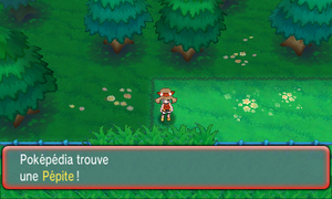 Route 121 Pépite 2 ROSA.png