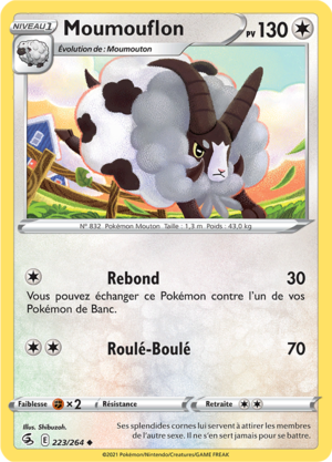 Carte Épée et Bouclier Poing de Fusion 223.png