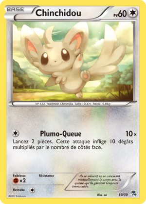 Carte Noir & Blanc Kit du Dresseur Zoroark 19.png