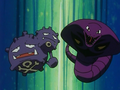 Smogogo (de James) et Arbok (de Jessie)