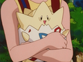 Togepi (d'Ondine)