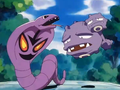 Arbok (de Jessie) et Smogogo (de James)