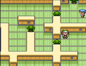 Maison Pièges Coupe.png