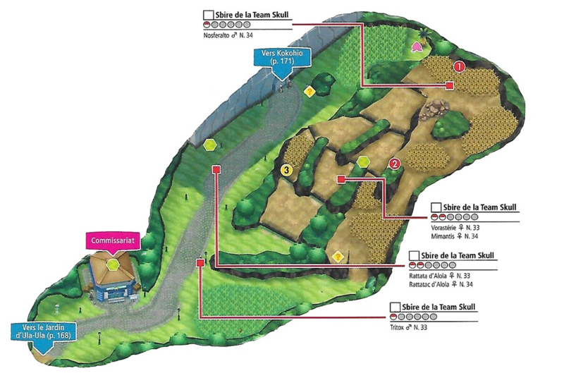Fichier:Route 17 2 SL.png