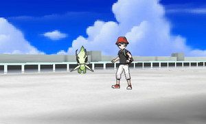 Studio Photo USUL - Arrière-plan 28.png