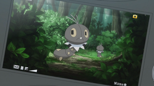 XY086 - Lépidonille.png