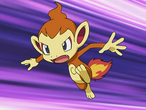 DP050 - Ouisticram de Paul.png