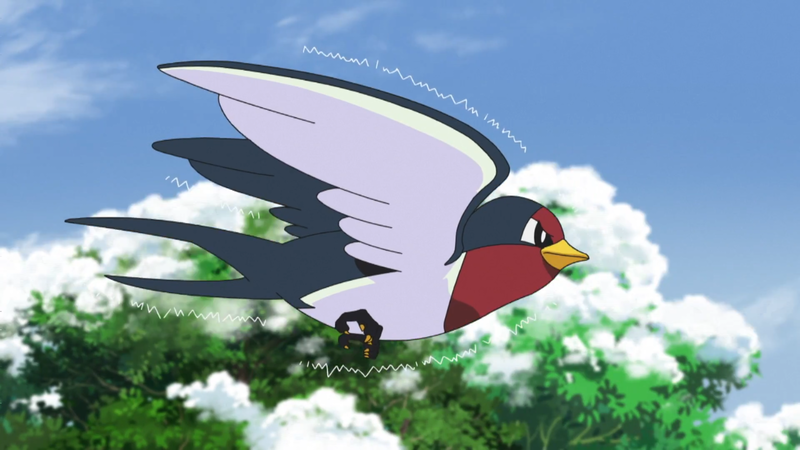 Fichier:Nirondelle de Goh.png