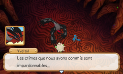 Yveltal se rend compte de la gravité de leurs actes, puis disparait.