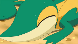 NB041 - Vipélierre de Sacha (Flash-back).png