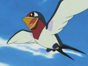 AG064 - Nirondelle de Sacha.png