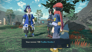 Bivouac Contrefort Feuille Ronde LPA.png