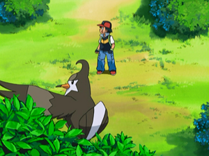 DP080 - Étourvol de Sacha.png