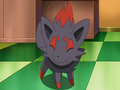 Zorua (de Luke)