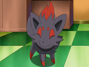 NB040 - Zorua de Luke.png
