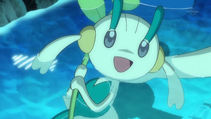 XY070 - Floette.png