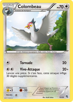 Carte Noir & Blanc Kit du Dresseur Zoroark 15.png