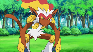 DP185 - Simiabraz de Sacha.png