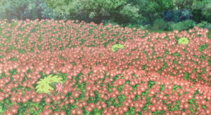 Film 11 - Shaymin sauvages.png