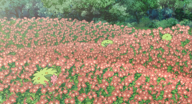 Fichier:Film 11 - Shaymin sauvages.png