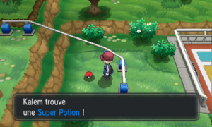 Route 5 Super Potion Skate Park Ouest XY.png
