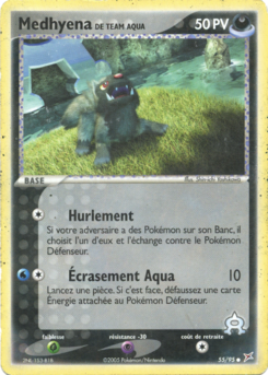Medhyena de Team Aqua (EX Team Magma VS Team Aqua 55)