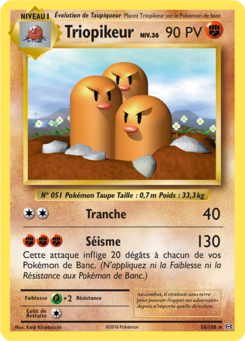 Triopikeur (XY Évolutions 56)