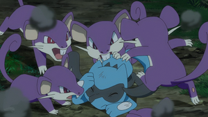 LV021 - Rattata.png