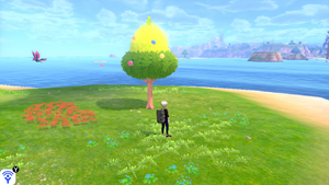 Mer Isol'Îlots Arbre à Baies EB.png