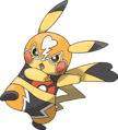 Pikachu Catcheur