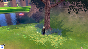 Prairie Entre-Ponts Objet Caché 15 EB.png