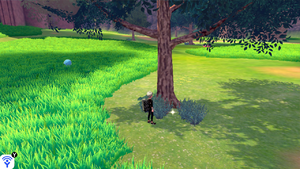 Prairie Entre-Ponts Objet Caché 5 EB.png