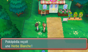 Route 104 Herbe Blanche ROSA.png
