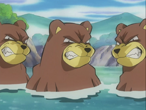 AG056 - Ursaring.png