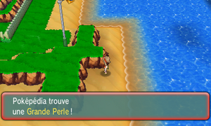 Atoll de Combat Grande Perle ROSA.png