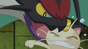 Bruyverne Morsure.png