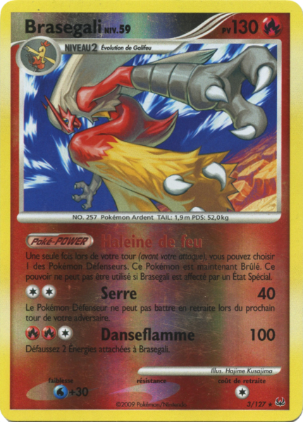 Fichier:Carte Platine 3.png