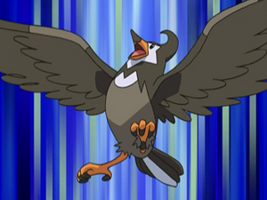 DP087 - Étourvol de Sacha.png