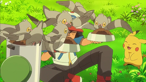 NB056 - Poichigeon.png