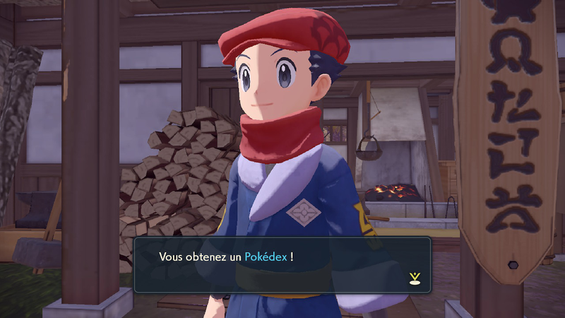 Fichier:Rusti-Cité Pokédex LPA.png