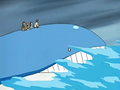 ► Wailord ► (de Robin)