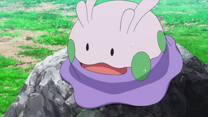 XY056 - Mucuscule de Sacha.png