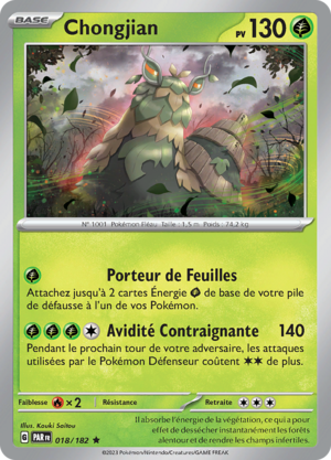 Carte Écarlate et Violet Faille Paradoxe 018.png