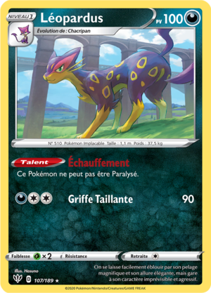 Carte Épée et Bouclier Ténèbres Embrasées 107.png