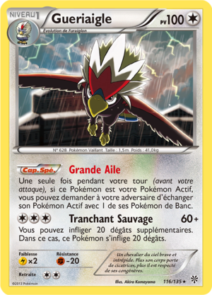 Carte Noir & Blanc Tempête Plasma 116.png