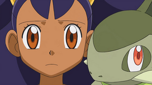 NB047 - Coupenotte d'Iris.png